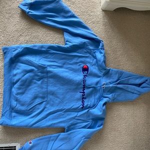 Champion Hoodie (unisex)